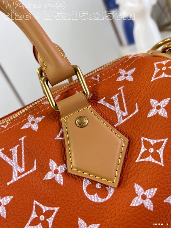 WIS Louis SPEEDY 25 Vuitton 1031